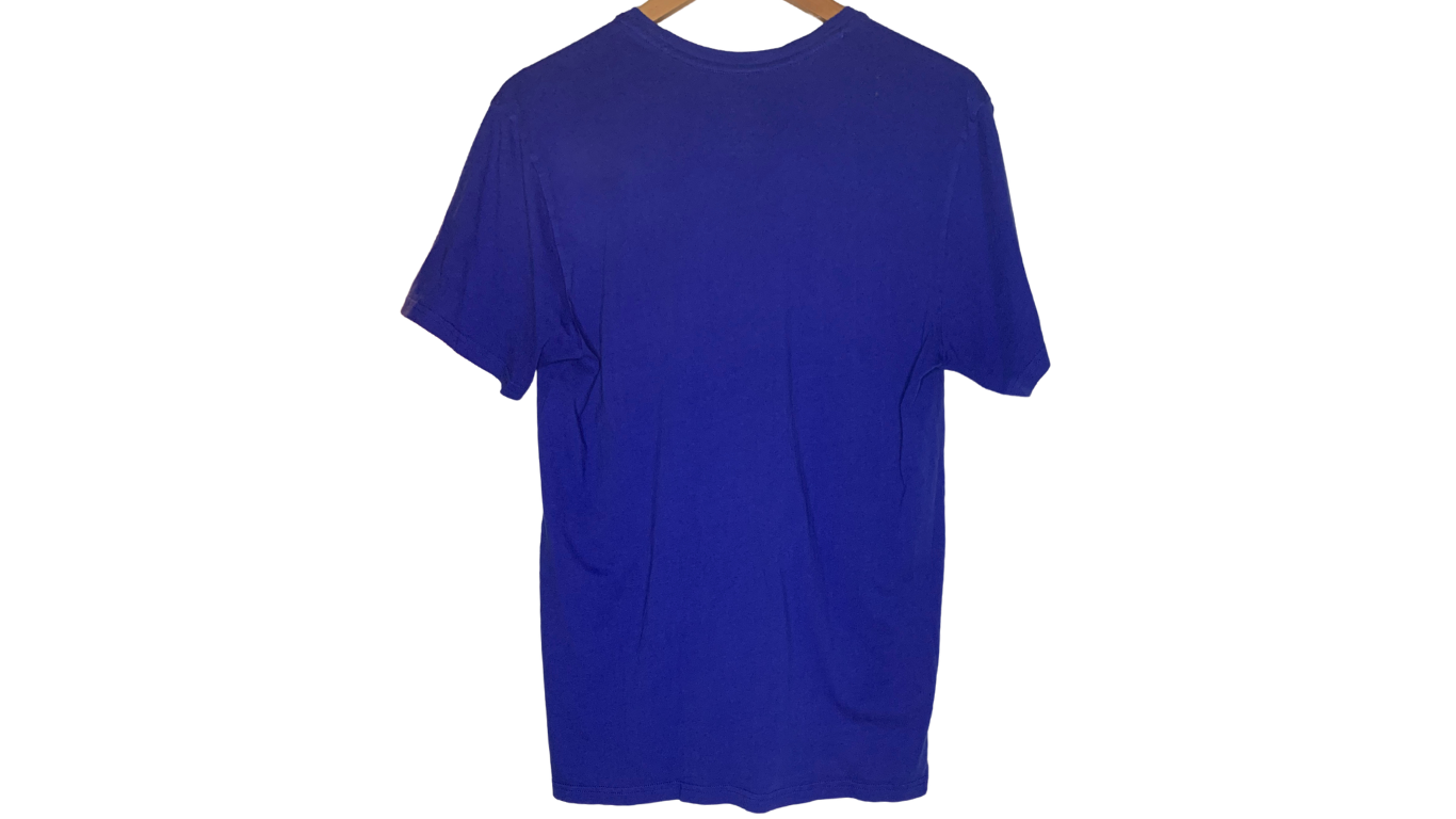 Polo Ralph Lauren Graphic Tee, M